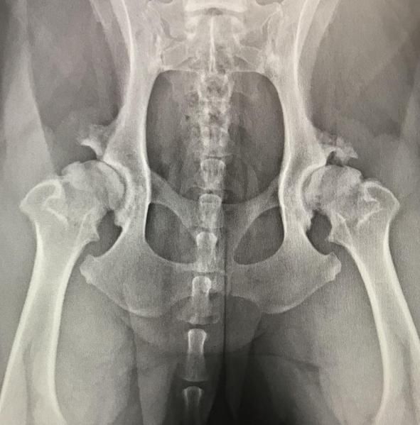 roentgen2_1635928037